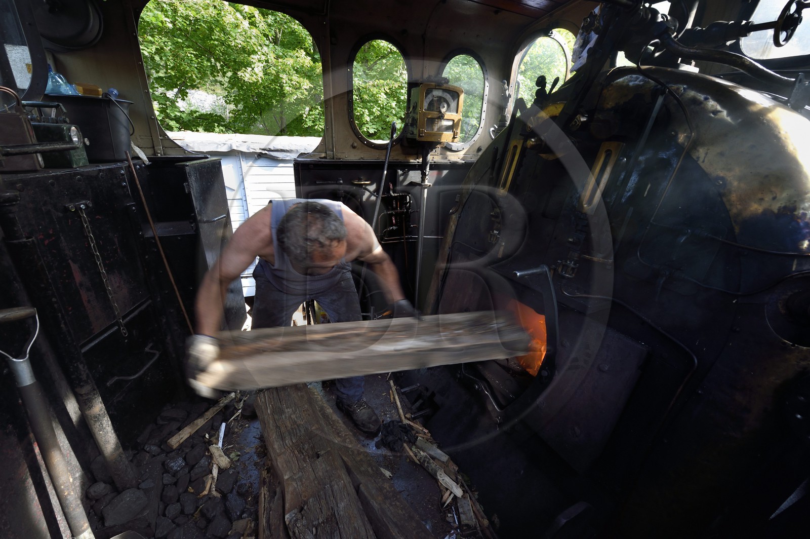 France, Alpes-Maritimes (06), Puget Théniers, le Train des Pignes, locomotive en chauffe, chargement du bois dans le geulard du foyer qui chauffe la chaudière