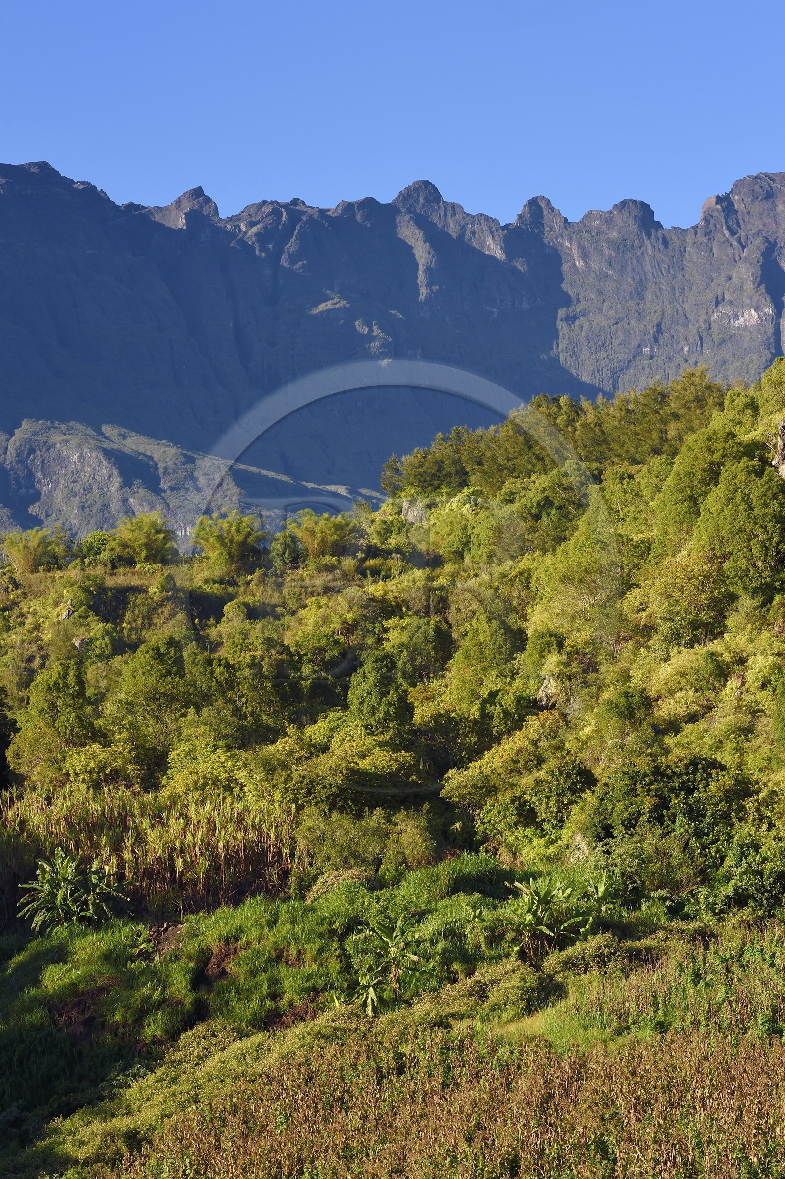 France, Reunion island (French overseas department), Cirque de Salazie, listed as World Heritage by UNESCO, the mountain of Piton des Neiges is the highest point at an altitude of 3,070 meters and dominates the cirque