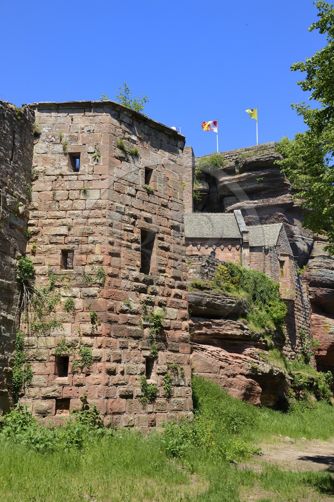 France, Bas Rhin, Saverne, Haut Barr castle dated 11th to 14th century