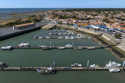 France, Charente-Maritime (17), Ile d'Oléron, port de pêche de La Cotinière (vue aérienne)