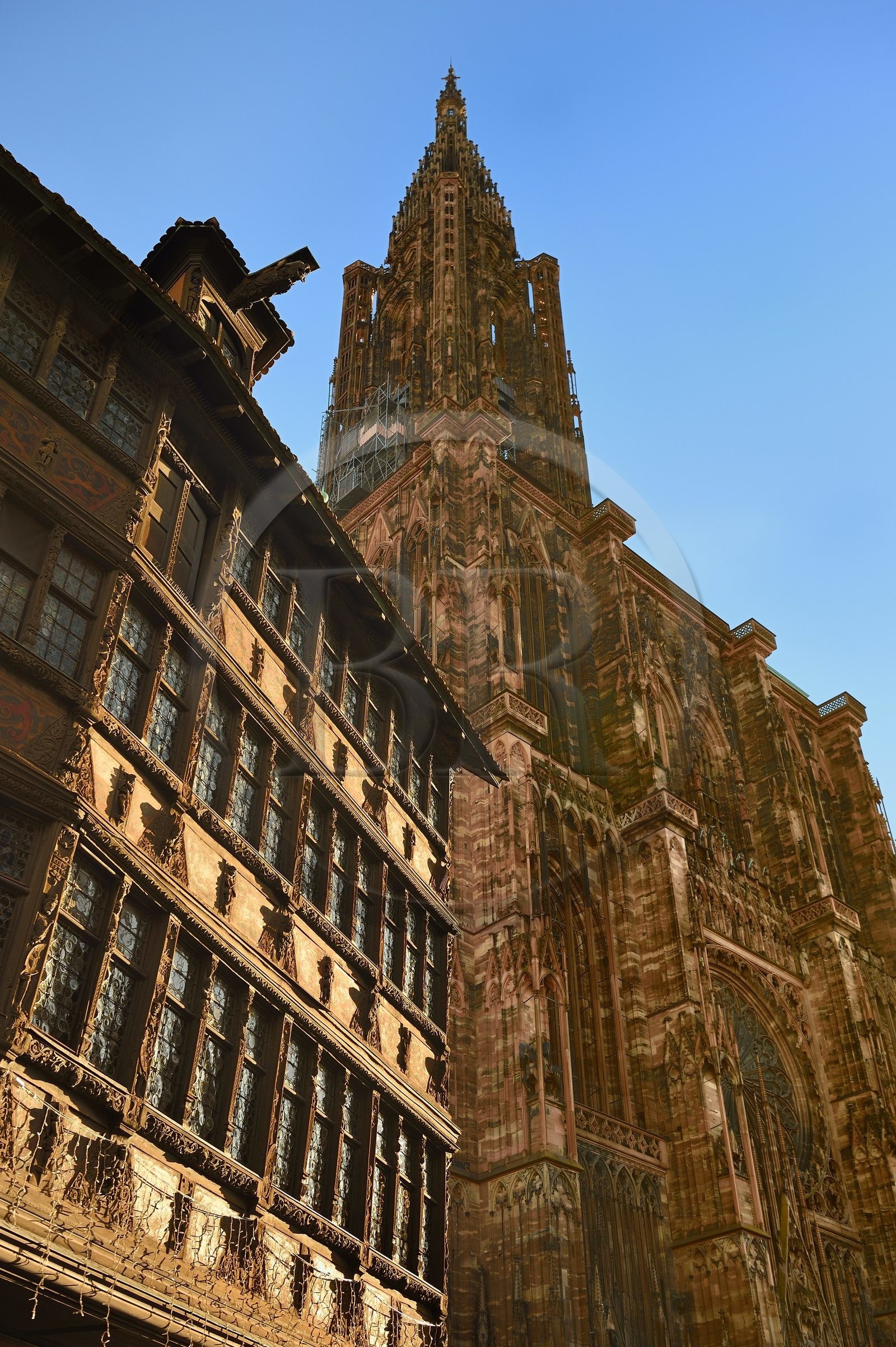 France, Bas-Rhin (67), Strasbourg, vieille ville classée au Patrimoine Mondial de l'UNESCO, la Maison Kammerzell et la cathédrale Notre-Dame