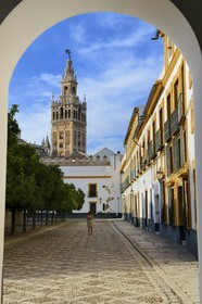 Espagne, Andalousie, Séville, la Giralda vue depuis la Cour des Drapeaux (Patio de Banderas)