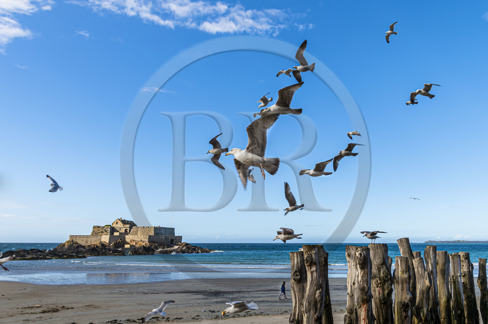 France, Ille-et-Vilaine (35), Côte d'Emeraude, Saint-Malo, Fort National conçu par Vauban et construit par Siméon Garangeau de 1689 à 1693, la plage de l'eventail à marée basse avec ses brise-lames en bois