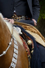 Argentine, province de Buenos Aires, San Antonio de Areco, fête du Jour de la Tradition (Dia de la Tradicion), détail de la sellerie et les bolas (ou boleadoras) accrochés à la selle
