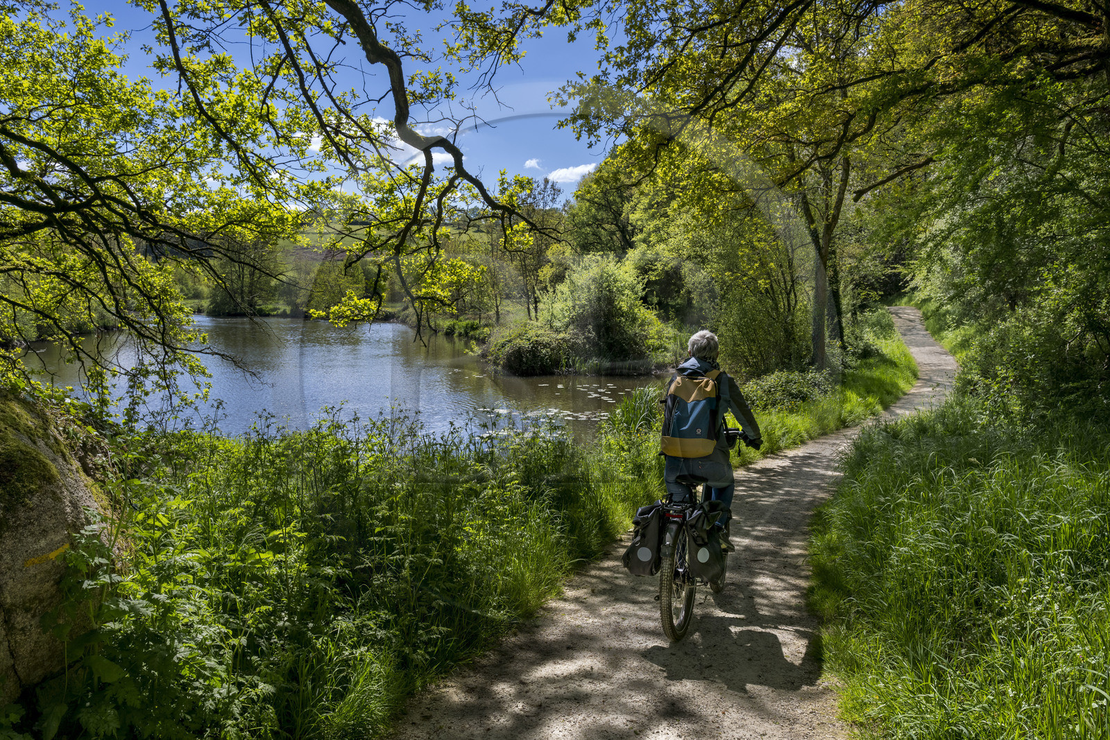 France, Vendée (85), Saint-Laurent-sur-Sèvre, randonnée cycliste sur la piste de la véloroute Vendée Vélo Tour