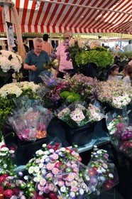 France, Alpes-Maritimes (06), Nice, vieille ville, marché du cours Saleya, marché aux fleurs, le fleuriste Jean-Patrice Mege