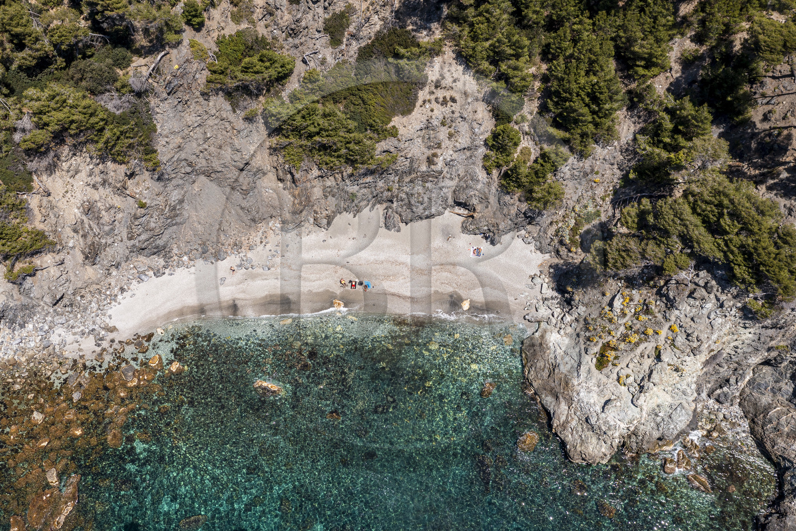 France, Var (83), Six-Fours-les-Plages, randonnée dans le massif du Cap Sicié, plage du Mont Salva vers Le Brusc (vue aérienne)
