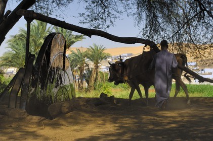 Egypt, Upper Egypt, Nubia, Nile Valley, Aswan, west bank, well in the nubian countryside