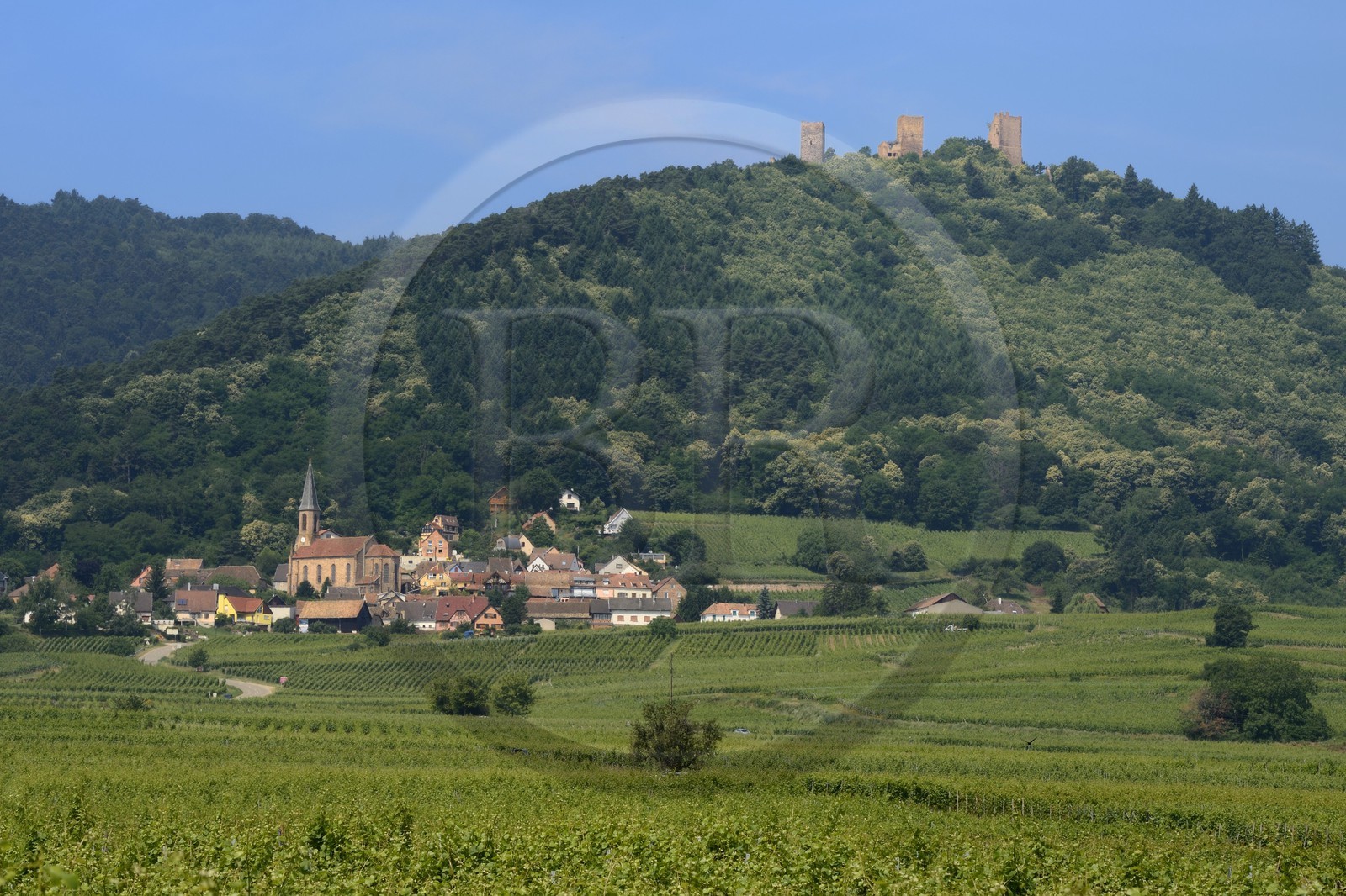 France, Haut Rhin, the Alsace Wine Route, Husseren les Chateaux west of Eguisheim