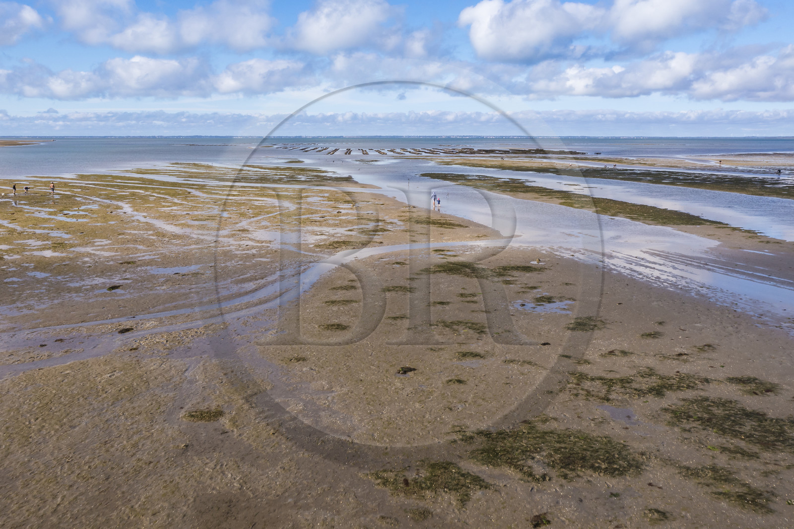 France, Vendée (85), île de Noirmoutier, Barbatre, pêche à pied sur l'estran en bordure du passage du Gois, chaussée submersible qui relie l'île au continent à marrée basse (vue aérienne)