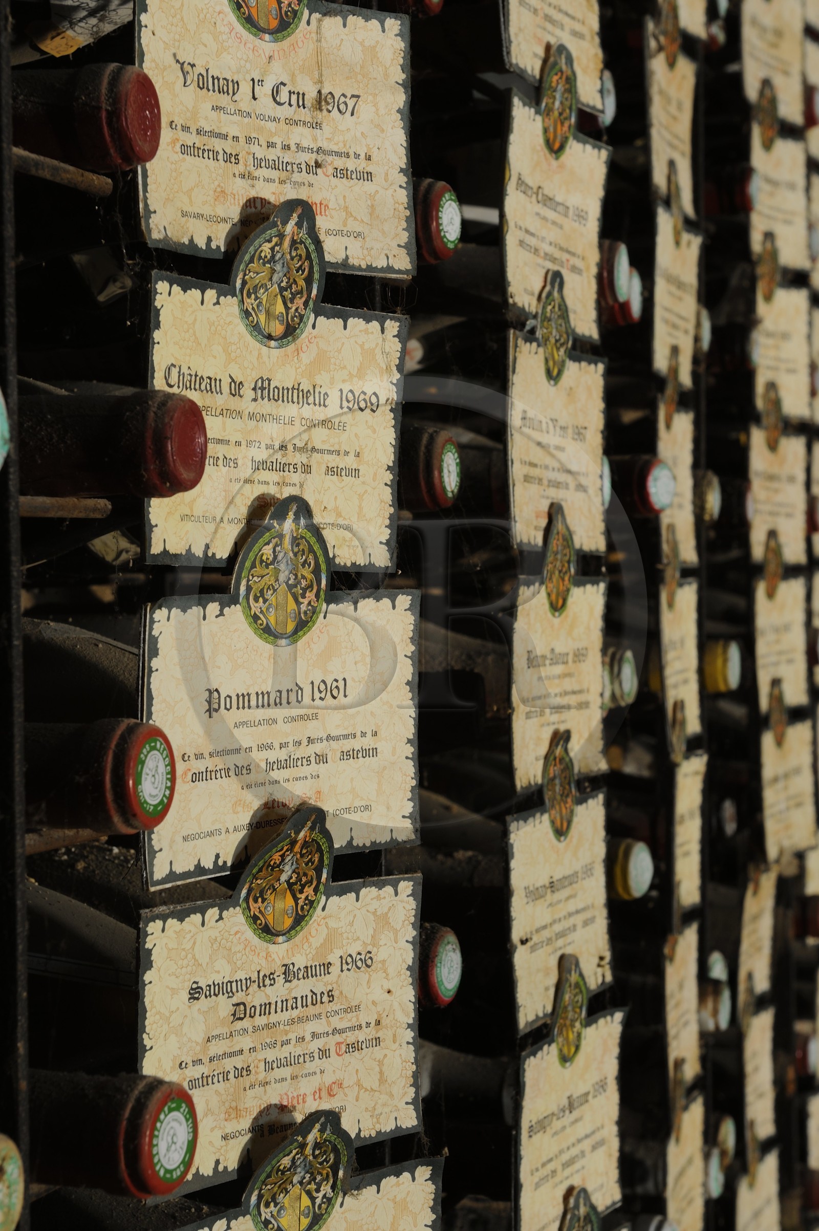 France, Côte-d'Or (21), le Château du Clos-de-Vougeot (vignoble des Côtes de Nuit), collection de grands crus