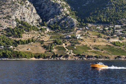 Croatie, Dalmatie, cote dalmate, cote sud de l'Ile de Brac, village de Murvica, vignoble