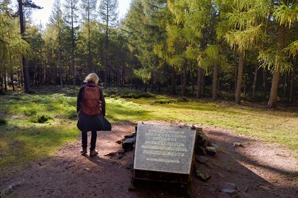 France, Bas Rhin, Ottrott, Mont Sainte-Odile, commemorative plaque on the site of the crash of the Airbus A320 on January 20, 1992 killing 87 on the heights of La Bloss