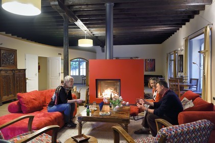 France, Charente (16), Bourg-Charente, chambres d'hotes le Domaine des Platanes