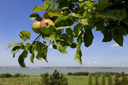 France, Calvados, Honfleur, view on the river Seine and Le Havre