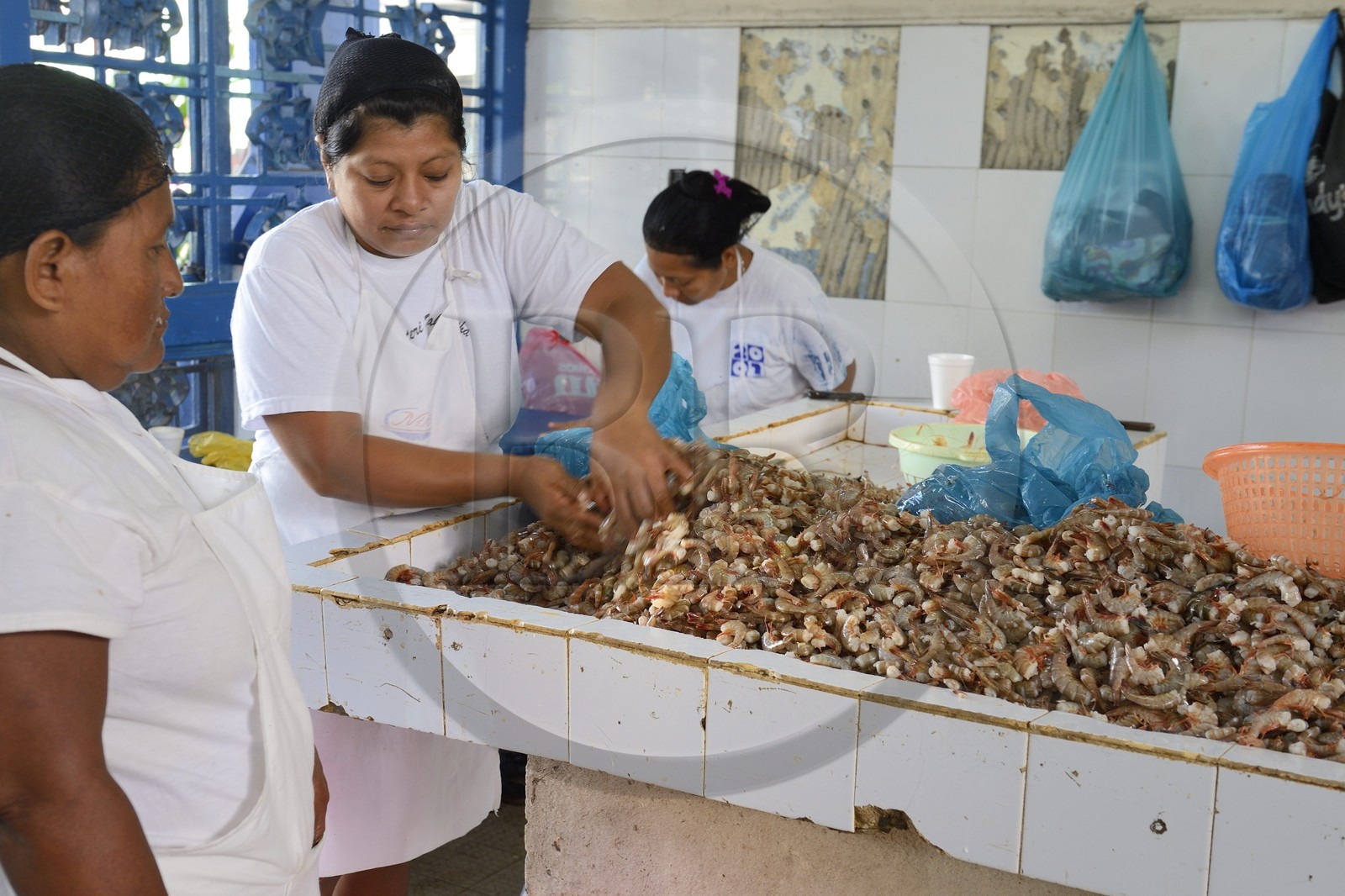 Panama, Panama City, quartier de Santa Ana, le marché aux poisson (Mercado de Mariscos)