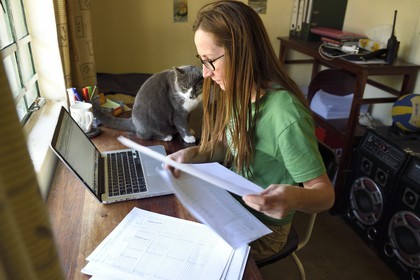 Zimbabwe, Midlands Province, Gweru, Antelope Park home to ALERT (African Lion and Environmental Research Trust), Yvonne Gordon is in charge of the observation of the behavior of lions to be released in a pride in a national park