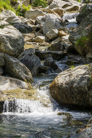 France, Alpes-Maritimes (06), parc national du Mercantour, Haute-Vésubie, Saint-Martin-Vésubie, Val du Haut Boréon, la rivière du Boréon