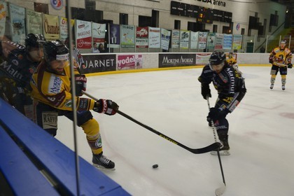 France, Haute Savoie, Morzine, ice hockey game from the Morzine-Avoriaz Hockey Club called the Penguins