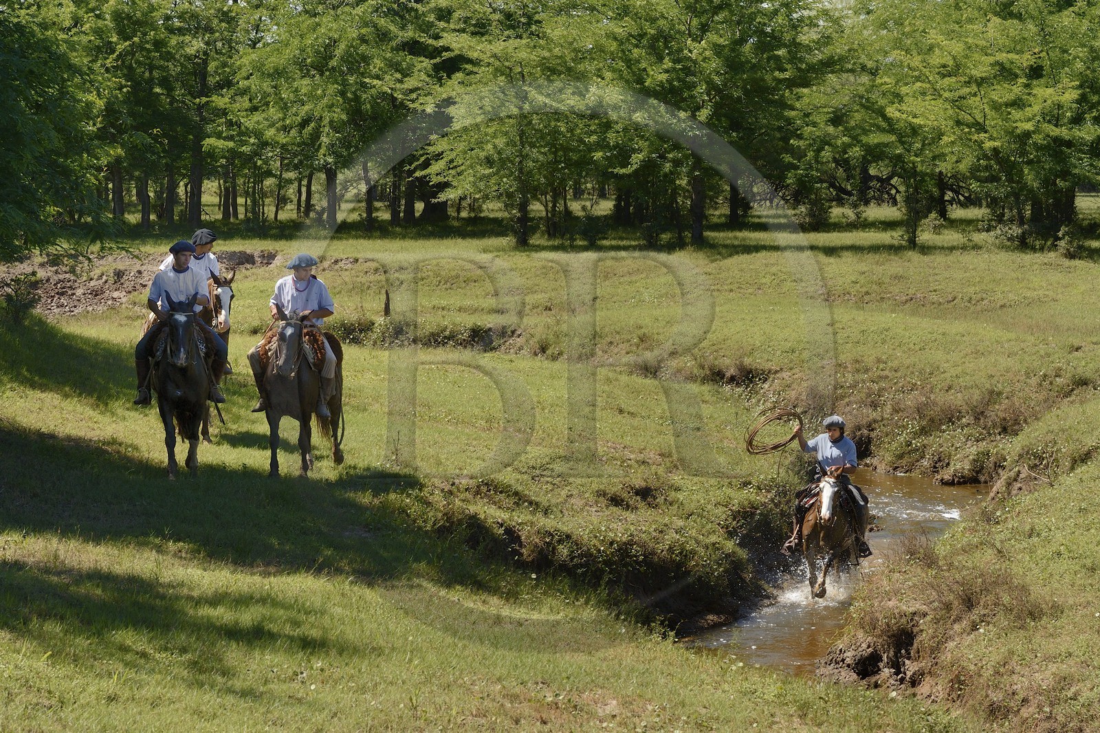 Argentine, province de Buenos Aires, San Antonio de Areco, estancia La Bamba de Areco, gauchos au travail remontant la rivière