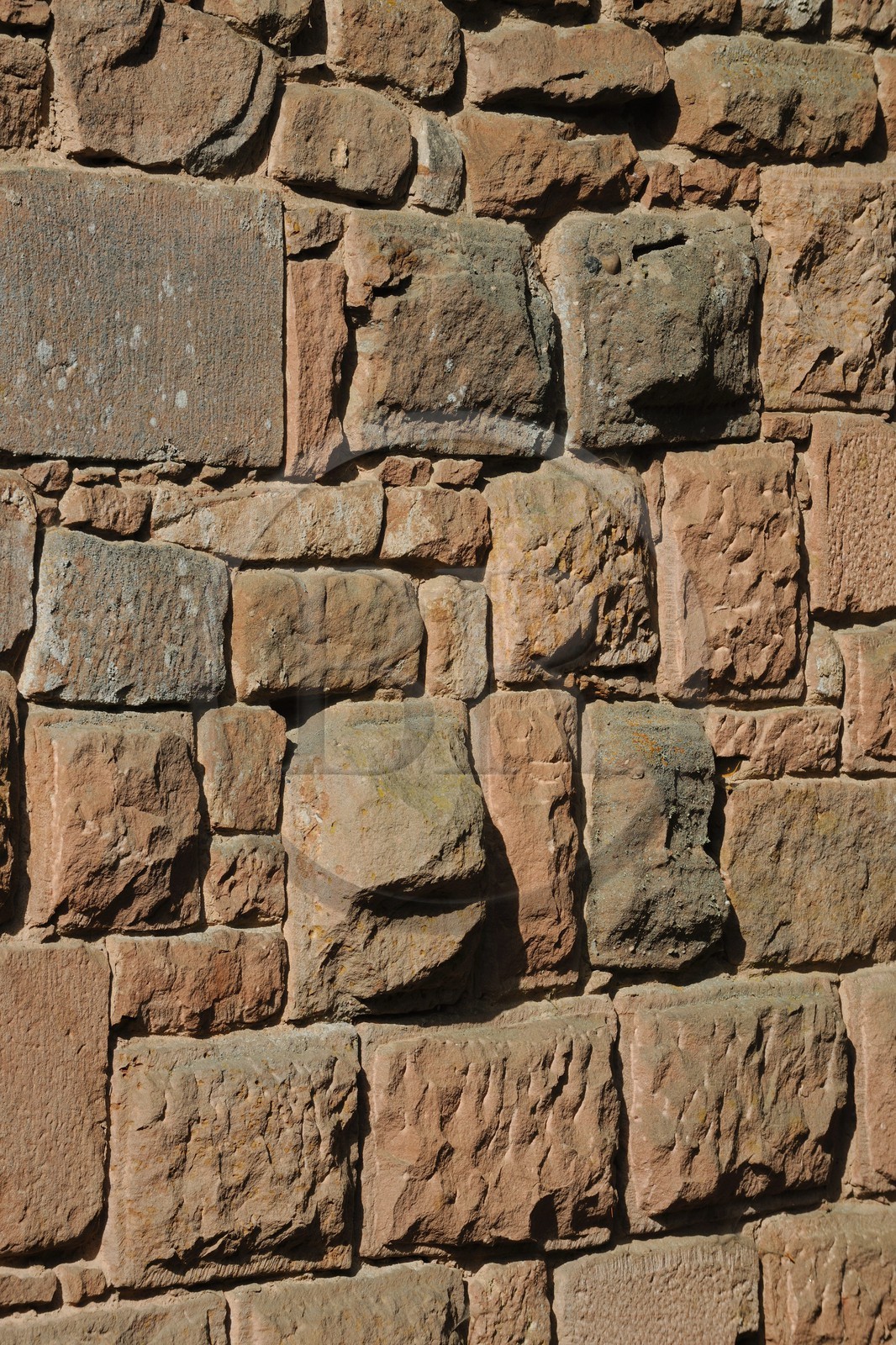 France, Bas Rhin, Orschwiller, Alsace Wine Road, Haut Koenigsbourg Castle, exterior facade of the Bastion, Vosges sandstone wall embossed