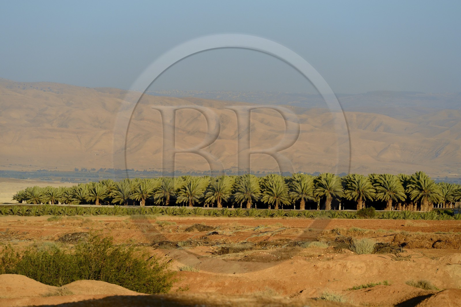 Israel, district Nord, Basse Galilée, la vallée du Jourdain et les montagne de Jordanie en arrière plan