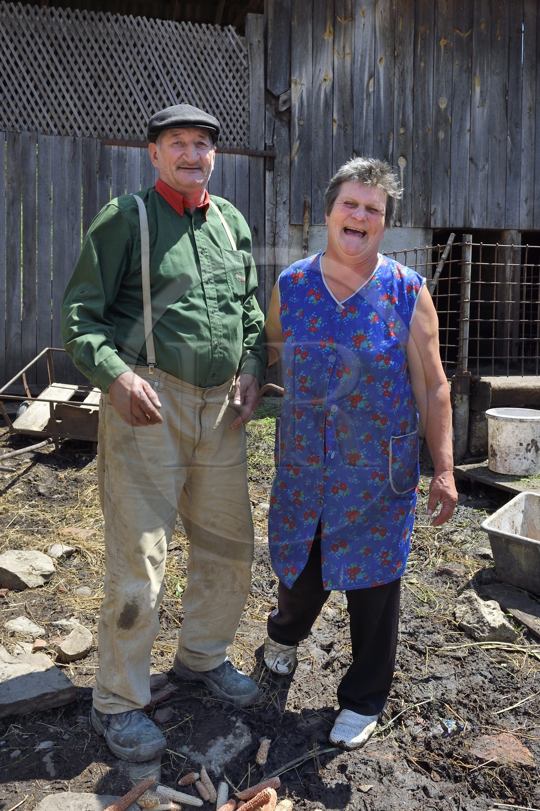 Roumanie, Transylvanie, région de Sighisoara, village de Movile, couple de fermiers dans leur cour