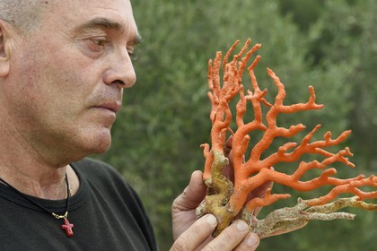 France, Corse du Sud, Bonifacio, Upper Town, Mediterranean red coral, the coral fisherman Jean-Philippe Giordano