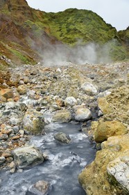 Caraïbes, Ile de la Dominique, Castle Bruce, Parc national du Morne Trois Pitons classé Patrimoine Mondial de l'UNESCO, la Vallée de la Désolation, rivière aux sources d'eau chaude dont la couleur unique est due à la présence de calcium, de carbone, de soufre et de fer, sur le sentier menant au Boiling Lake