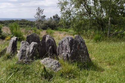 France, Morbihan (56), forêt de Brocéliande, l'Hôtié de Viviane aussi appelé le Tombeau des druides, monument mégalithique d'environ 2500 av J.C.