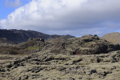 Islande, région de Reykjavik, champs de lave recouverts de mousse