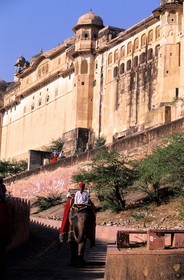 Inde, état du Rajasthan, région de Jaipur, Amber Palace, éléphant descendant la rampe du Palais
