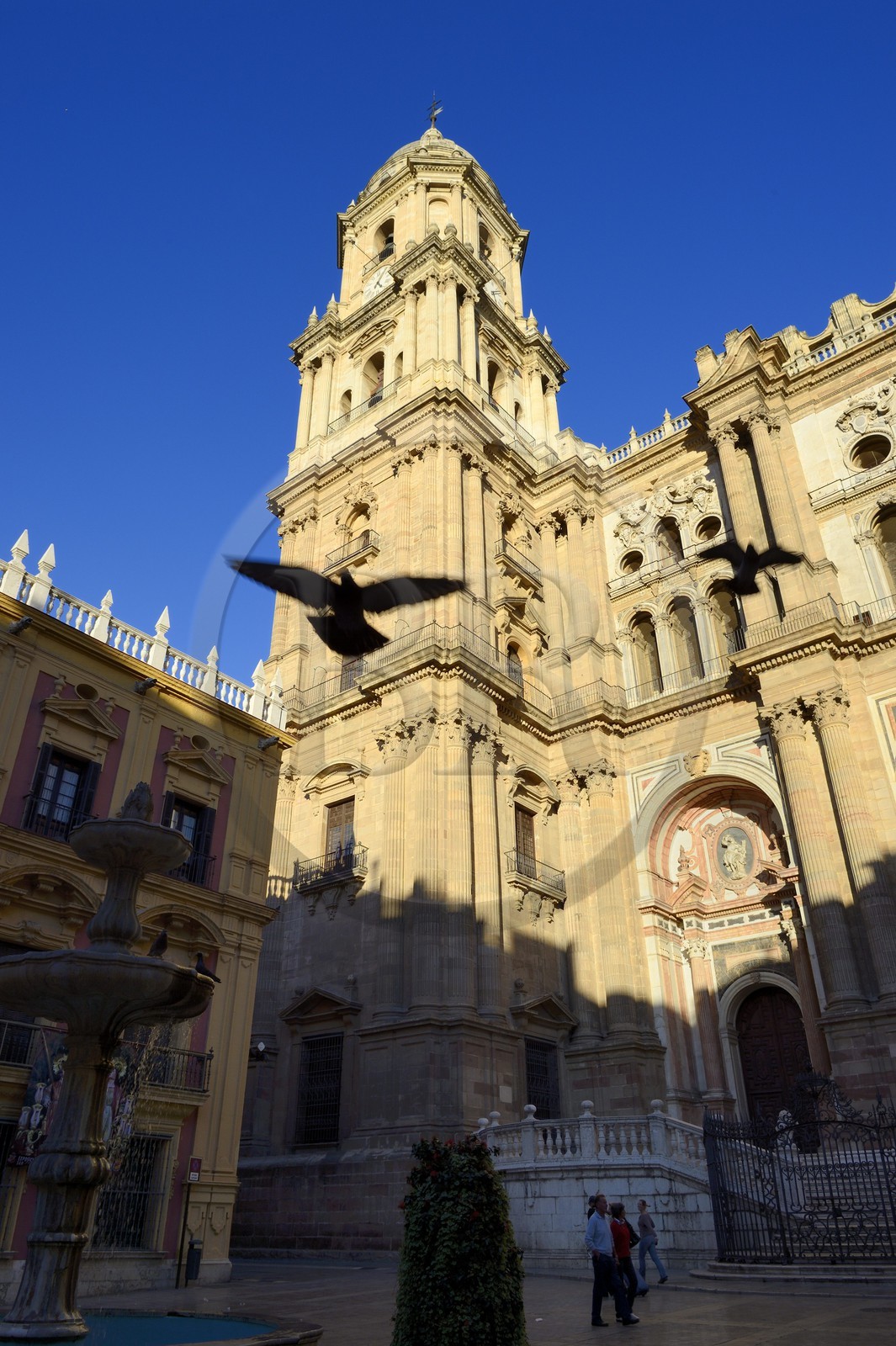 Espagne, Andalousie, Malaga, la cathédrale, Catedral Basílica de la Encarnacion