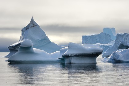 Groenland, cote ouest, Ile de Disko, baie du village de Qeqertarsuaq, icebergs dans la brume