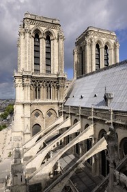 France, Paris (75), île de la Cité, la cathédrale Notre-Dame