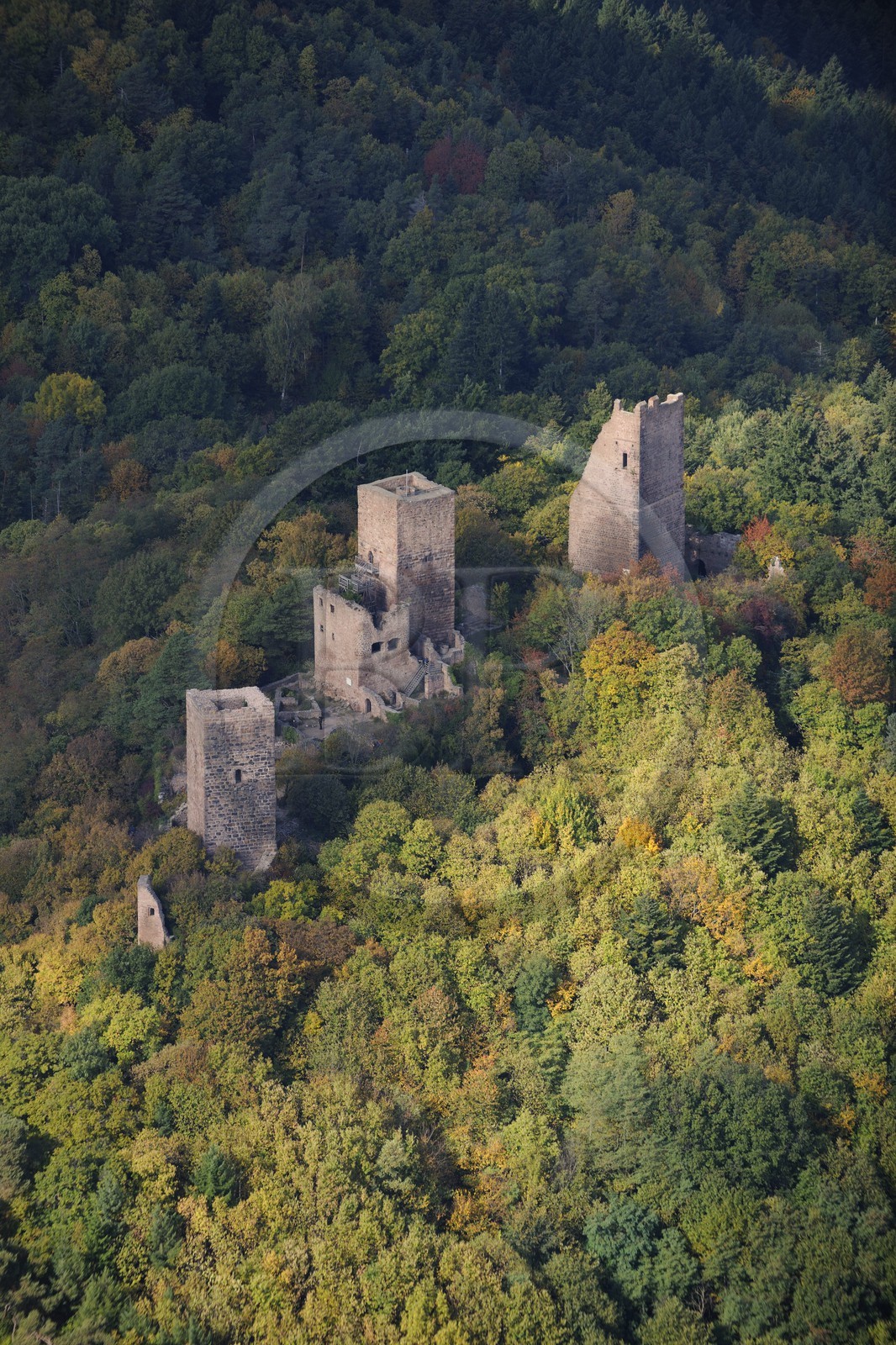 France, Haut-Rhin (68), les trois donjons d'Eguisheim dans le massif des Vosges (photo aérienne)