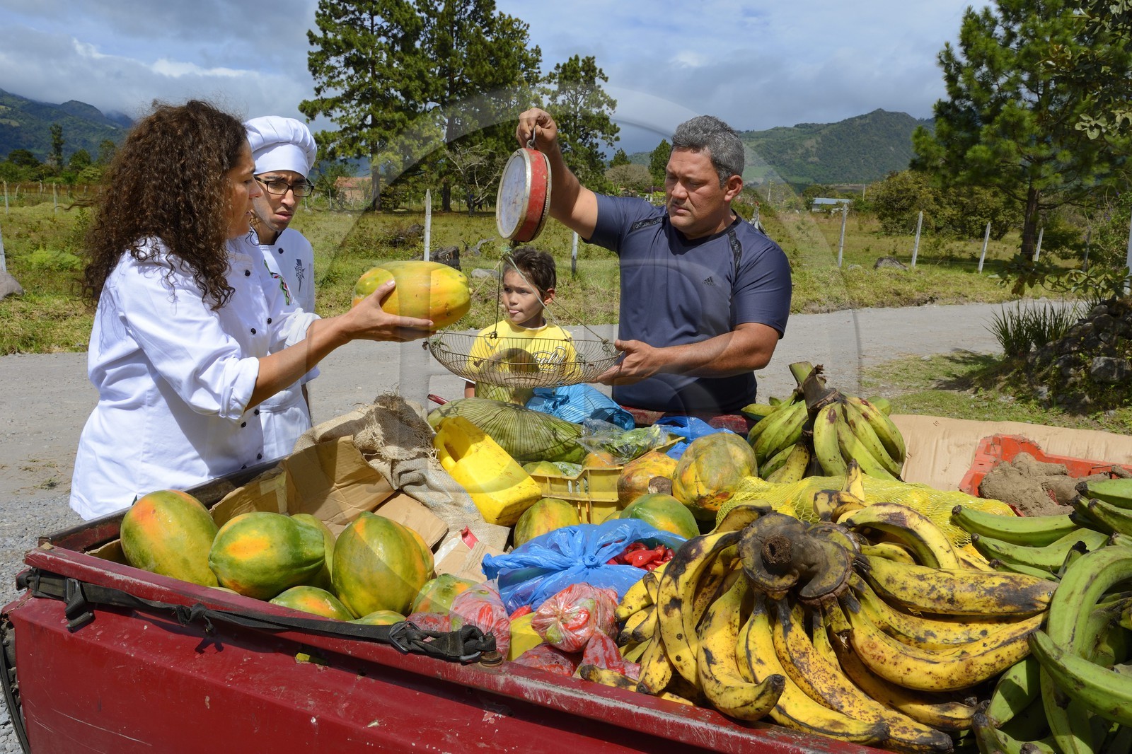 Panama, province de Chiriqui, petite ville de Volcan, restaurant Cerro Brujo Gourmet, la chef Patricia Miranda Allen se fait livrer par un agriculteur bio