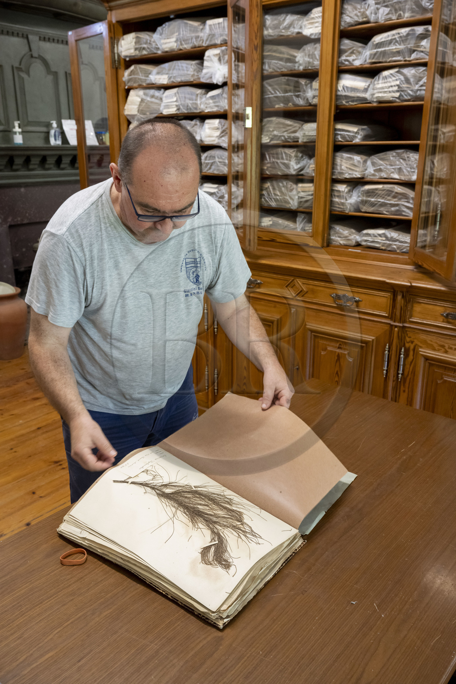 Italy, Liguria, Province of Imperia, Ventimiglia, Hanbury Botanical Garden, herbarium in the laboratory of the Casa Rustica built in 1886