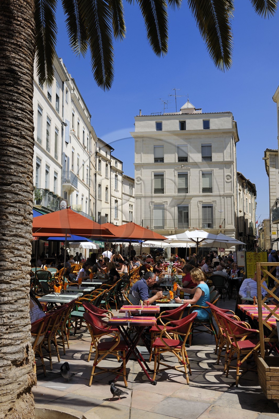 France, Gard, Nimes, the market place