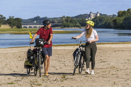 France, Maine-et-Loire, Loire valley listed as World Heritage by UNESCO, Saumur towards Saint-Hilaire, sandbanks forming islands on the Loire and Saumur castle in the background, cycling on the banks of the Loire, bike with a trailer carrying camping equipment