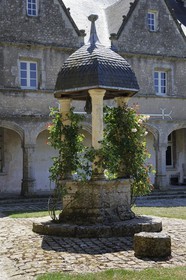 France, Loir-et-Cher (41), château de Talcy, puit au rosier qui a pu inspirer Ronsard