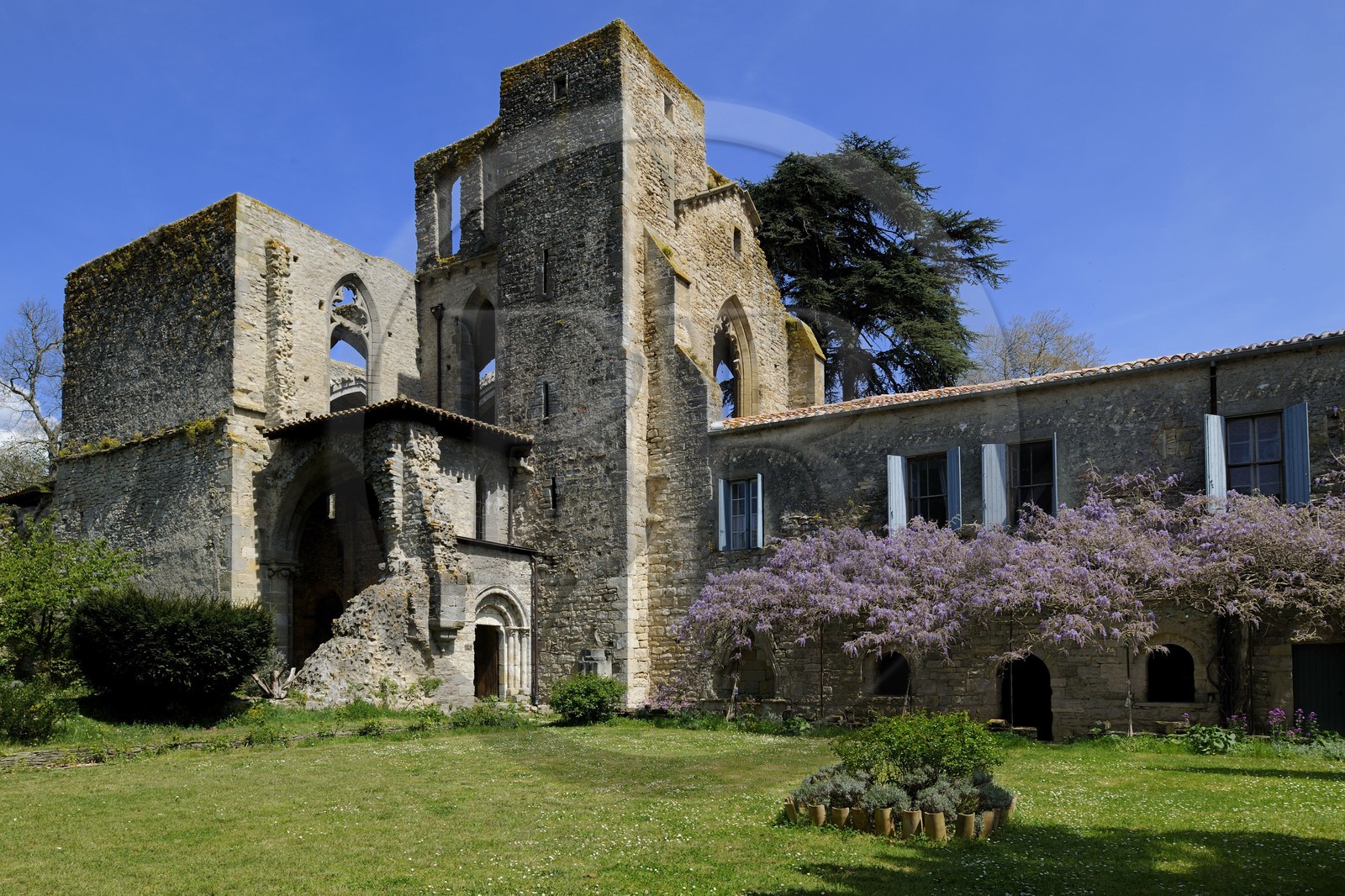 France, Aude (11), Saint-Martin-le-Vieil, ancienne abbaye cistercienne de Villelongue et chambre d'hôte