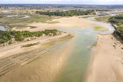 France, Vendée (85), Talmont-Saint-Hilaire, la Pointe du Payré, estuaire du Payré et le port du village d'ostréiculteurs de la Guittière en arrière plan