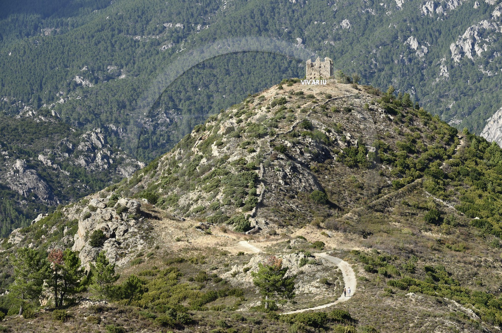 France, Haute Corse, Vivario, ruins of the Vivario fort or Pasciolo redoubt
