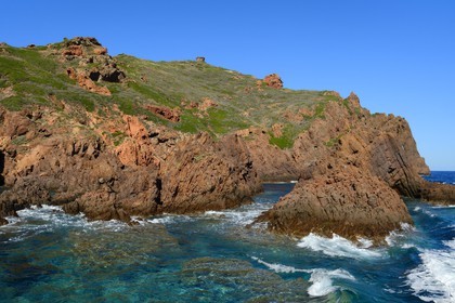 France, Corse-du-Sud (2A), Golfe de Porto, classé Patrimoine Mondial de l'UNESCO, Réserve naturelle de Scandola, Ile de Gargalo dominée par une ancienne tour génoise