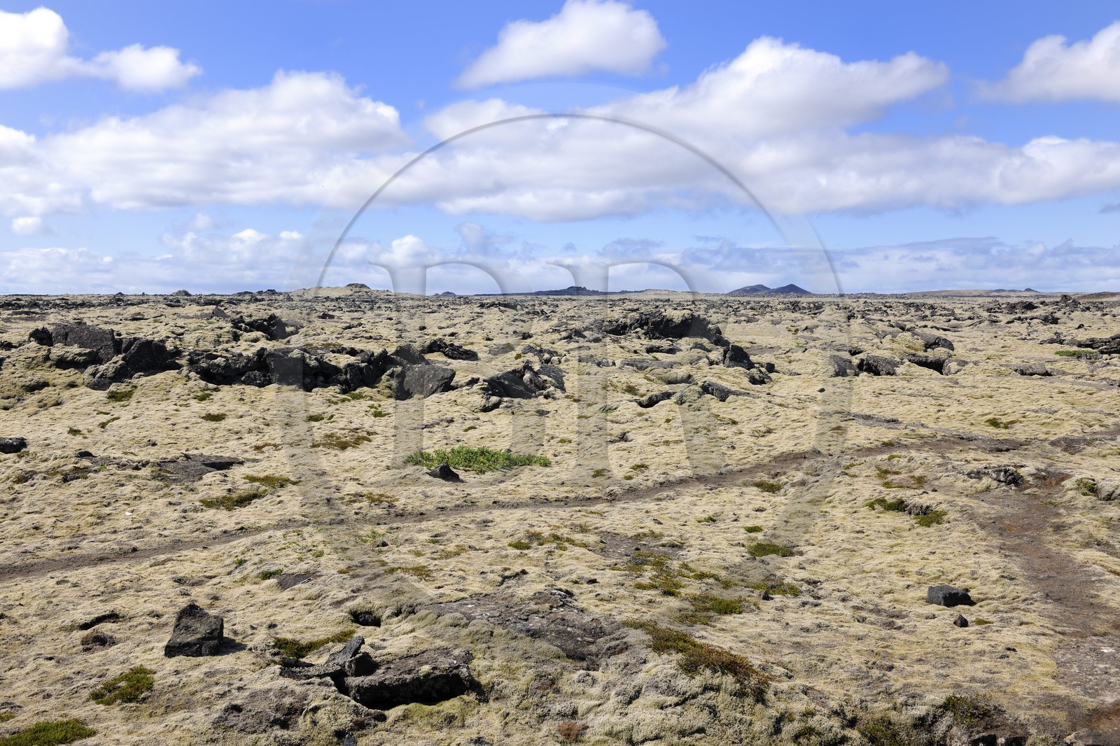 Iceland, Grindavik, trail in an old lava field covered with foam