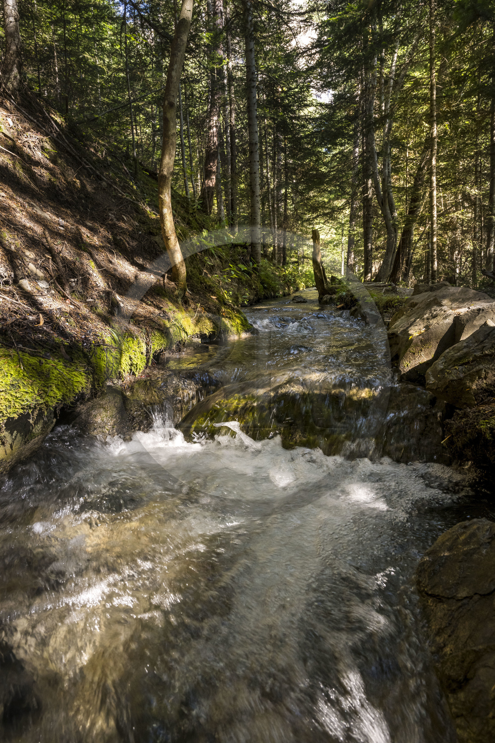 France, Hautes Alpes (05), Chateauroux-les-Alpes, randonnée de la Cascade de la Pisse par le canal de Gramorel