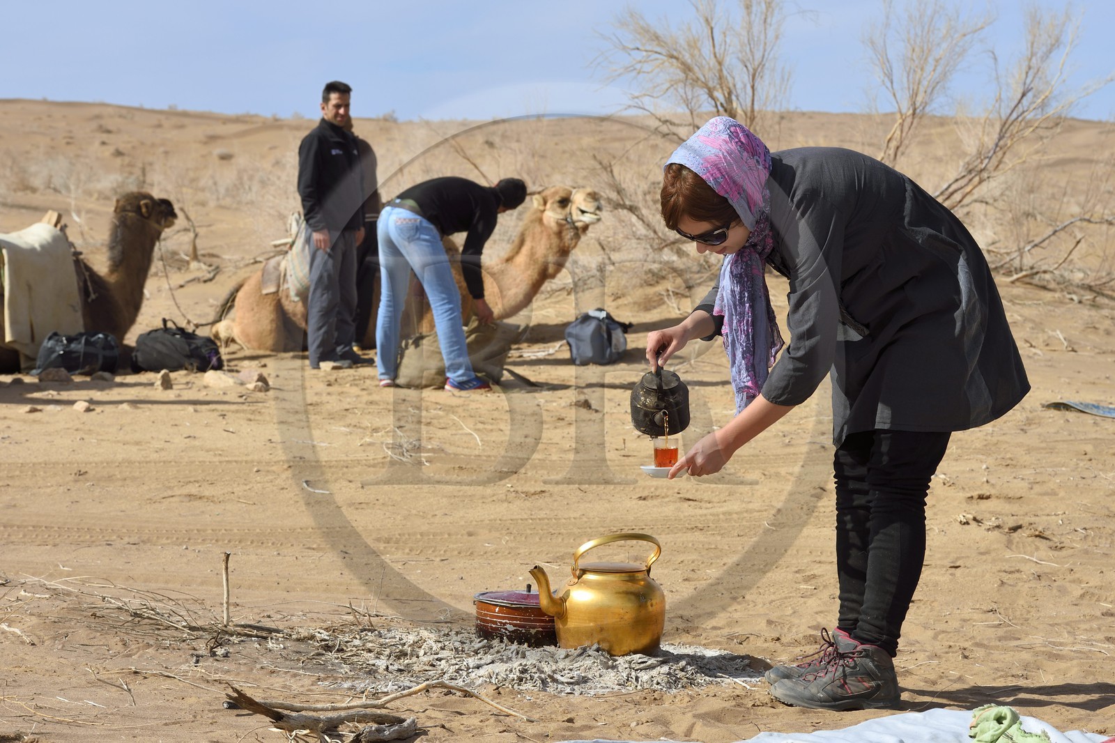 Iran, Province d'Ispahan, désert du Dasht-e Kavir, Mesr dans la région de Khur et Biabanak, randonnée chamelière, femme servant le thé à la pause de midi
