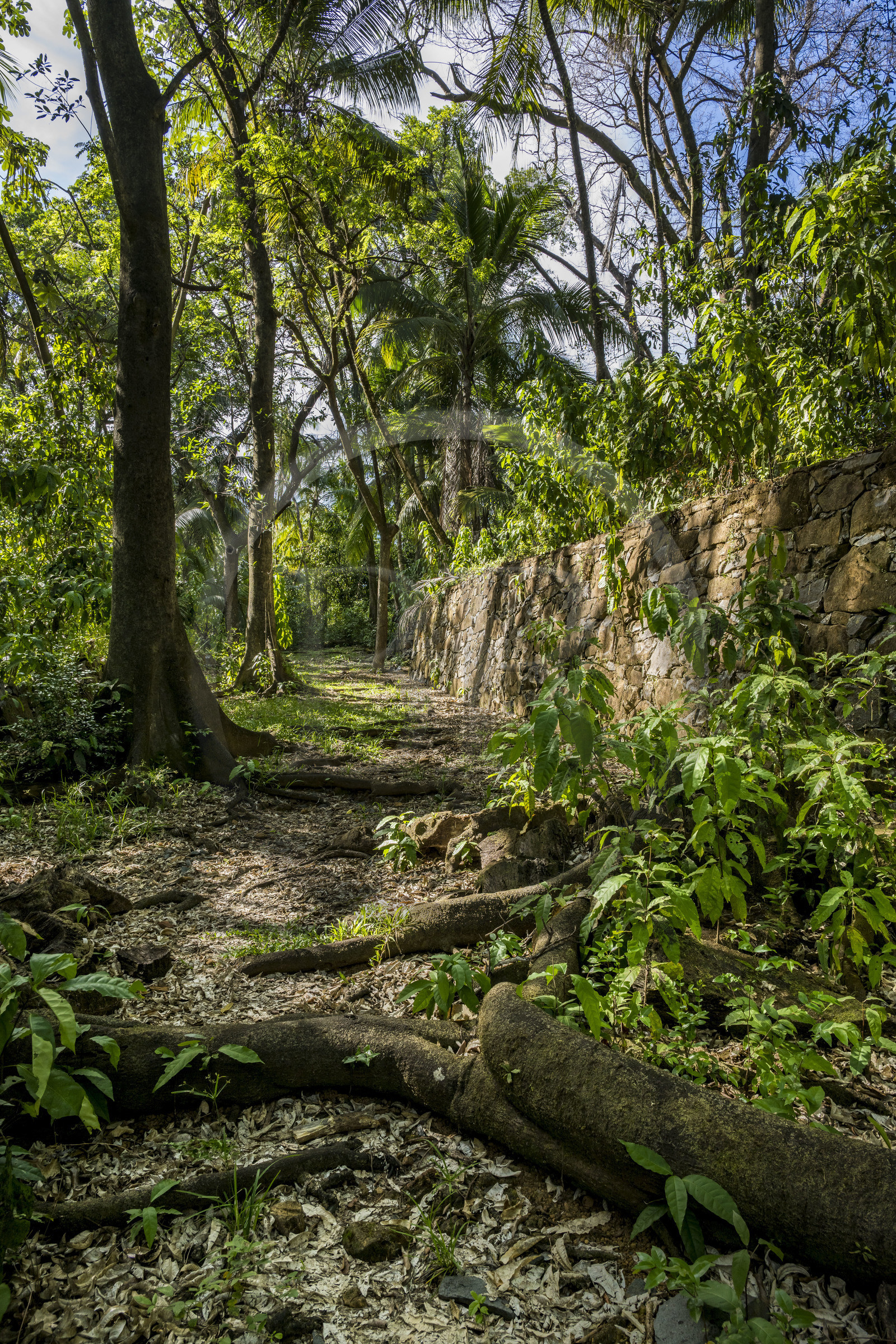 France, Guyane, Kourou, Iles du Salut, l'Ile Saint-Joseph,