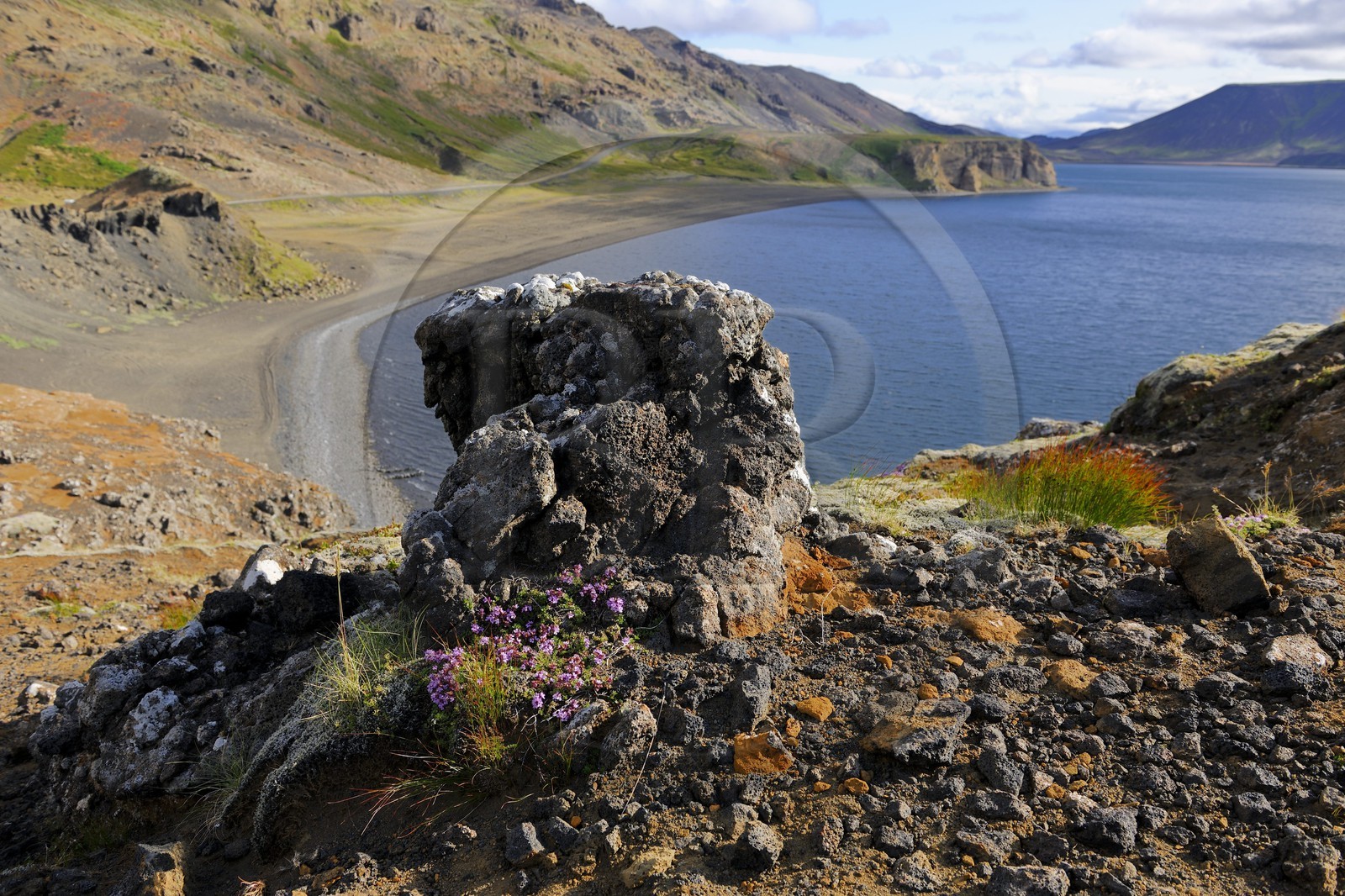 Iceland, Reykjavik region, Krisuvik Valley, Kleifarvatn Lake